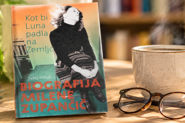 Naslovnica knjige z naslovom Kot bi Luna padla na Zemljo.